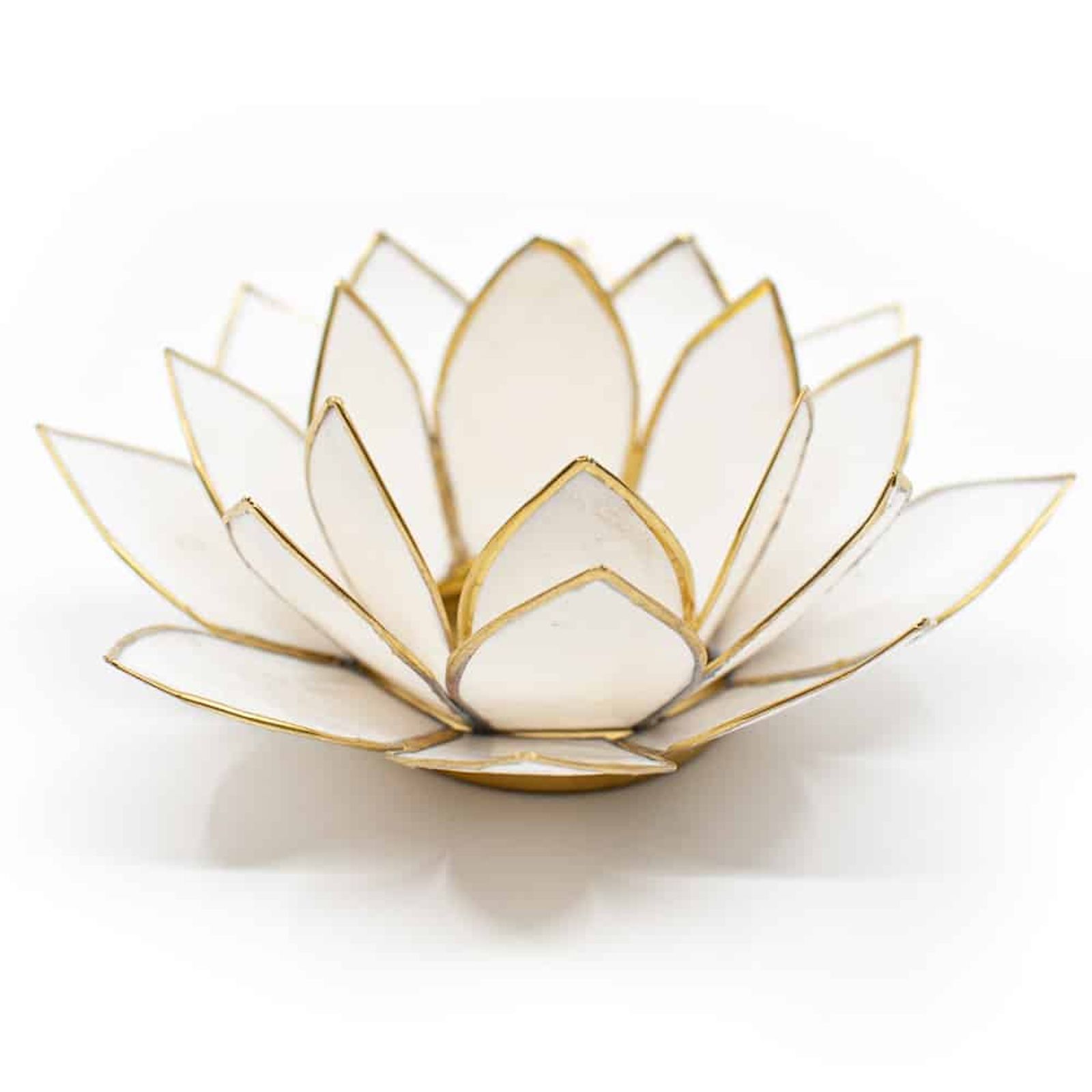 Lotus Atmosphärisches Licht Weißgold Goldrand