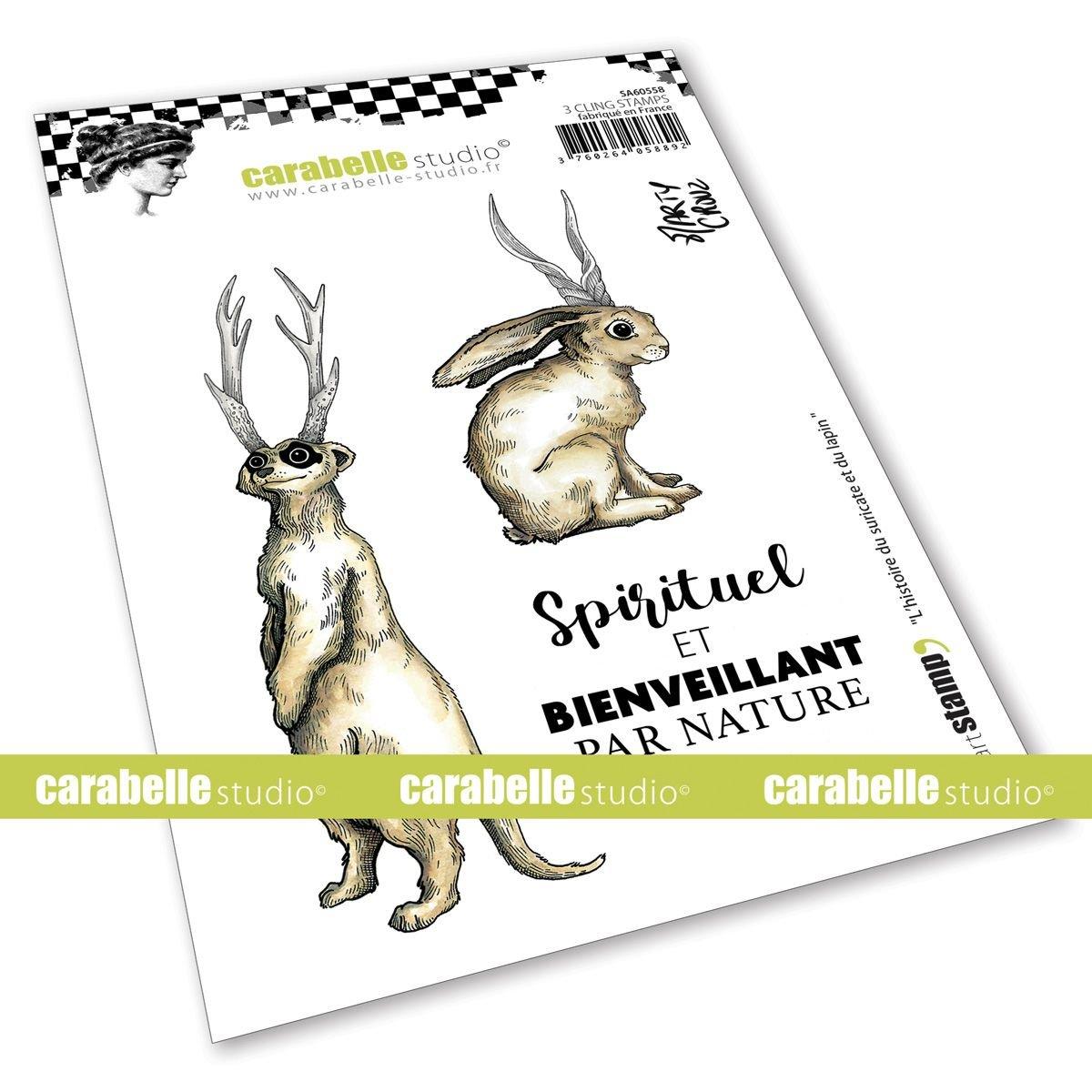 Carabelle Studio | Cling stamp A6 L'histoire du suricate et du lapin